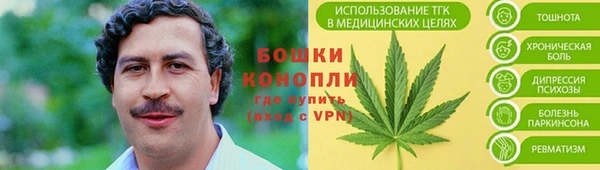 хмурый Среднеуральск