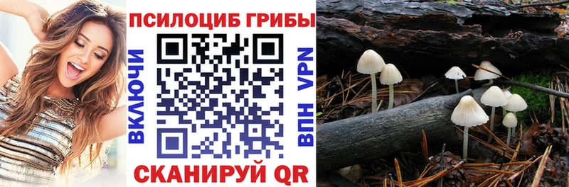 Галлюциногенные грибы мицелий  Томилино 